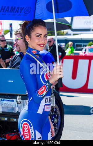 Melbourne, Australie. 26 février 2017. La grille de la Course 2 du Championnat du Monde SuperSport lors de la FIM MOTUL 2017 Championnat du Monde Superbike, l'Australie le 26 février 2017. Crédit : Dave Hewison Sports/Alamy Live News Banque D'Images