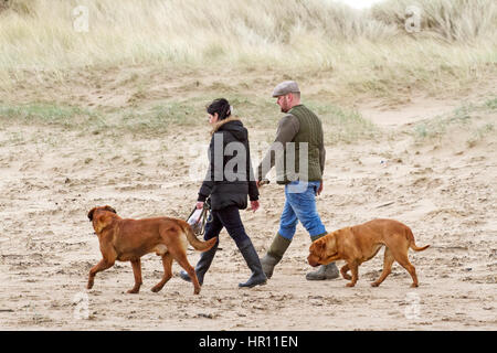 UK, météo, d'Ainsdale Merseyside. 26 févr. 2017. Après la tempête de relenting Doris, les familles font leur chemin sur la plage de Southport, Merseyside. Avec un bon peu de jours de grands vents battues le nord ouest station balnéaire, les gens ne peuvent pas attendre pour sortir et souffler le dimanche d'araignée. Credit : Cernan Elias/Alamy Live News Banque D'Images