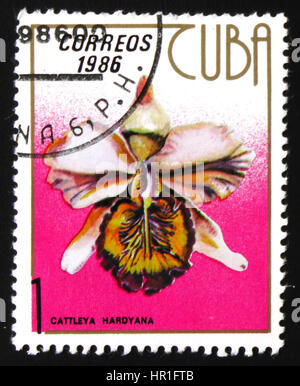 Moscou, Russie - 19 février 2017 : un timbre imprimé dans la Cuba, montre la fleur orchidée Cattleya Hardyana, vers 1986 Banque D'Images