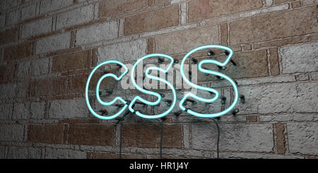 CSS - Glowing Neon Sign sur mur en pierre - rendu 3D illustration libres de droits. Peut être utilisé pour des bannières publicitaires en ligne et de publipostage. Banque D'Images