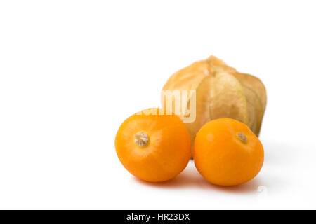 Physalis sur fond blanc Banque D'Images