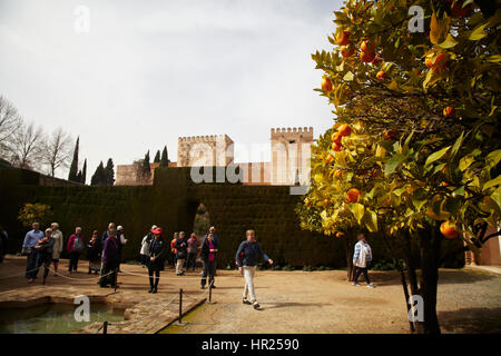 Al Hambra. Espagne Banque D'Images