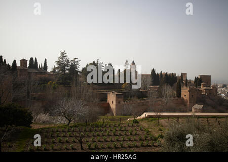 Le château de Al Hambra, Grenade. Fuerteventura, Espagne Banque D'Images