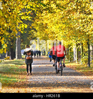 Kensington Gardens London UK Royal Park les arbres d'automne laisse sur quelques vélos Santander ride sur des permis piéton et piste cyclable sentier Banque D'Images