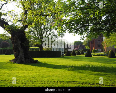 Chenies Manor parterre, Queen Elizabeth's Oak, pagode, et Manor House au printemps. Banque D'Images