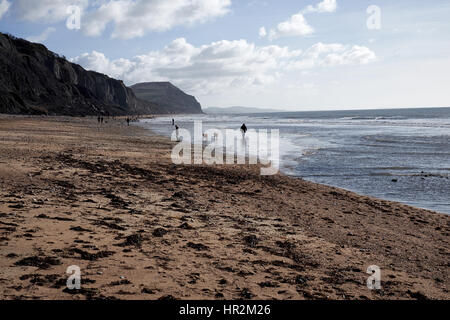 À l'est le long de la plage à Charmouth le long de la Côte Jurassique, célèbre pour le nombre de fossiles trouvés. Banque D'Images