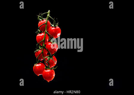 Des tomates cerises raisin humide de la lévitation sur fond noir Banque D'Images
