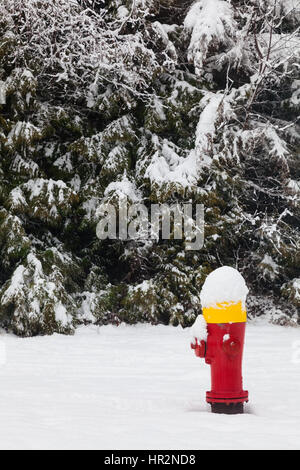 Incendie colorés avec de la neige fraîche Banque D'Images