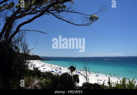 Les gens se reposer sur une journée chaude et profiter de la plage de sable blanc et eaux aqua. Hyams Beach est une station village de la Shoalhaven, sur les rives de la Baie de Jervis Banque D'Images