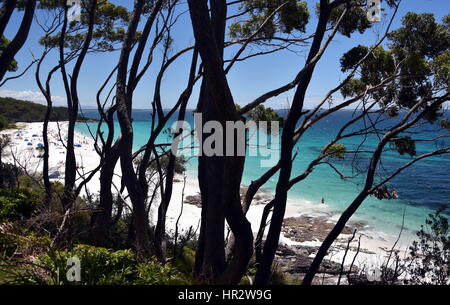 Hyams Beach est une station village de la Shoalhaven, sur les rives de la Baie de Jervis avec beau sable blanc. Les arbres en premier plan. Banque D'Images