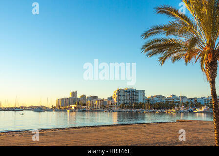 La fin de l'après-midi soleil tombe sur la plage, de la marina et de la promenade. St Antoni de Portmany, Ibiza, Espagne. Plage vide et l'eau calme comme soirée approche. Banque D'Images