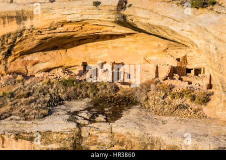 Kivas ronds et carrés dans la principale alcôve de Cliff dwellings dans les ruines de lavage Butler dans Comb Ridge dans le nouveau porte oreilles Monument National en Southea Banque D'Images