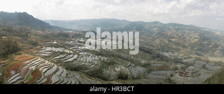 Les terrasses de riz de YuanYang, Yunnan en Chine, l'un des derniers sites du patrimoine mondial de l'UNESCO Banque D'Images