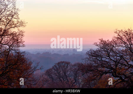 Coucher du soleil vu de Richmond Park, Londres Banque D'Images