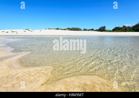 Dunes de sable de plage, Conjola Shoalhaven, Côte Sud, New South Wales, NSW, Australie Banque D'Images