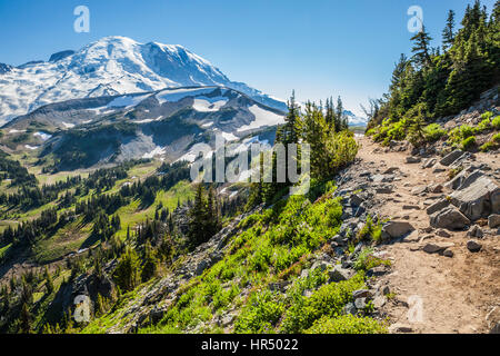 Le long du sentier de randonnée de montagne Burroughs Sunrise lodge Mount Rainier National Park, Washington, USA. Banque D'Images