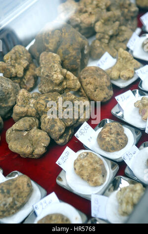 26-10-13, Alba, Italie. Marché mondial de la truffe blanche. La truffe blanche en vente pendant l'événement. Banque D'Images