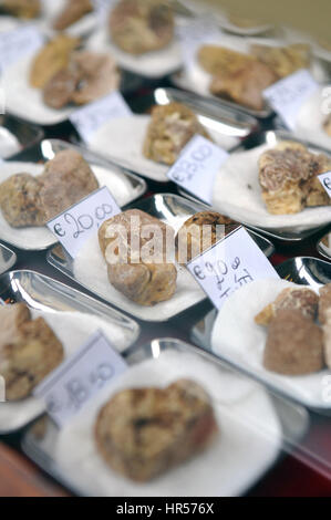 26-10-13, Alba, Italie. Marché mondial de la truffe blanche. La truffe blanche en vente pendant l'événement. Banque D'Images