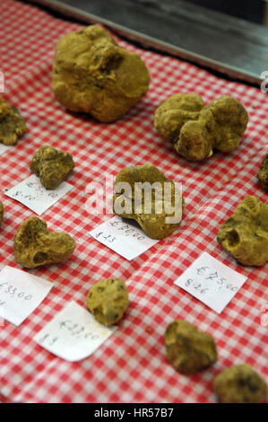 26-10-13, Alba, Italie. Marché mondial de la truffe blanche. La truffe blanche en vente pendant l'événement. Banque D'Images