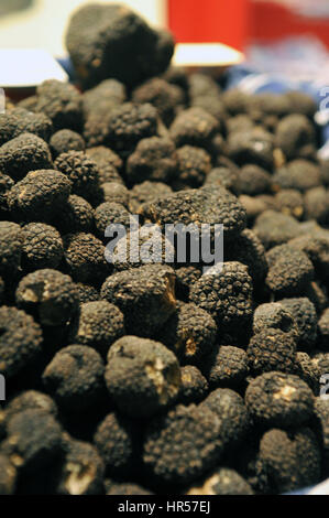 26-10-13, Alba, Italie. Marché mondial de la truffe blanche. Une énorme quantité de truffes noires. Banque D'Images