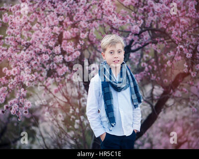 Jeune garçon dans un vergers d'amandiers en fleurs Banque D'Images