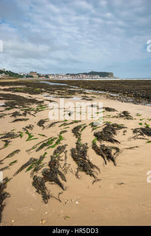 Plage de Scarborough, sur la côte de North Yorkshire, Angleterre. Une ville balnéaire historique bien connu. Banque D'Images