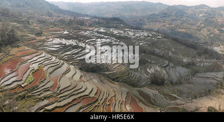 Les terrasses de riz de YuanYang, Yunnan en Chine, l'un des derniers sites du patrimoine mondial de l'UNESCO Banque D'Images