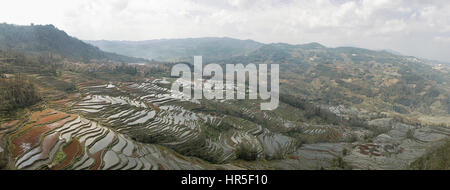 Les terrasses de riz de YuanYang, Yunnan en Chine, l'un des derniers sites du patrimoine mondial de l'UNESCO Banque D'Images