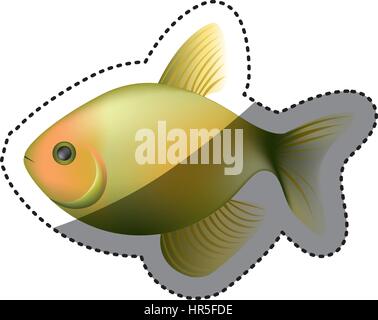 Les animaux aquatiques poissons colorés photo Illustration de Vecteur