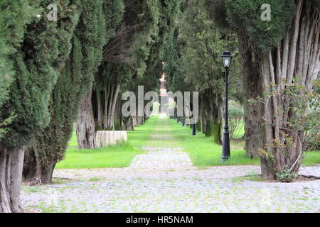 Route bordée d'arbres avec des lampes Banque D'Images