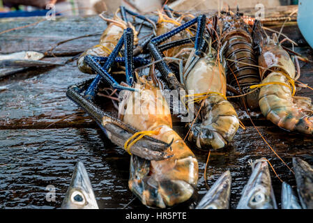 Le géant des matières premières à crevette d'matin marché en Asie Banque D'Images