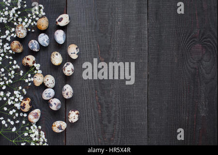 Oeufs de cailles et des fleurs sur la table en bois, fond brun de Pâques Banque D'Images