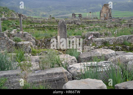 Volubilis est partiellement excavé et berbère au Maroc ville romaine située près de la ville de Meknès, communément considérée comme ancienne capitale du royaume de Maurétanie Banque D'Images