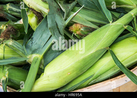 Un gros plan du maïs dans un panier. Banque D'Images