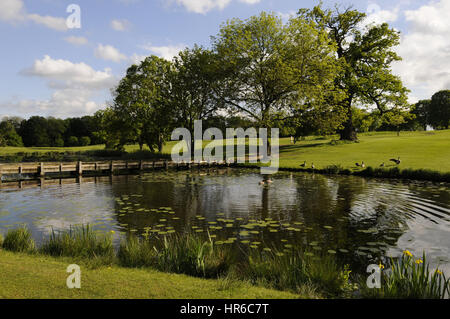 Vue sur le lac à côté du 15ème Green, le Club de Golf de Hertfordshire, Broxbourne, Hertfordshire, Angleterre Banque D'Images