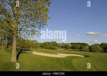 Vue de la 8e vert sur le cours de l'usine avec grand arbre et des bunkers, le Wisley, Wisley, Surrey, Angleterre Banque D'Images