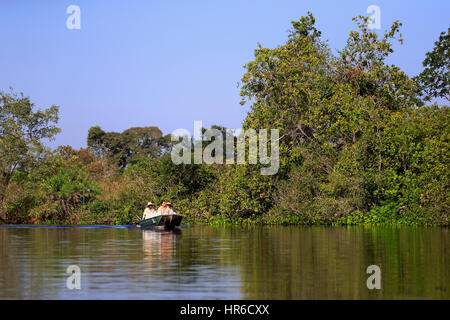 Voyage Tourisme Pantanal, Eco friendly river Safari, Pantanal, Mato Grosso, Brésil, Amérique du Sud Banque D'Images