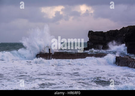 Portreath, Cornwall, UK. 27 févr. 2017. Météo britannique. Froid et vent fort a frappé la côte nord des Cornouailles à Portreath. Crédit : Simon Maycock/Alamy Live News Banque D'Images