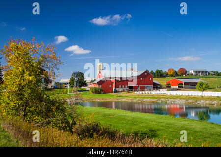 Un Amish farm près de Walnut Creek, Ohio, USA. Banque D'Images