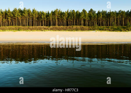 Mer, plage et forêt. Paysage avec des conifères à feuilles persistantes le pin sylvestre Pinus sylvestris arbres croissant sur les dunes au Baltic shore. Occidentale, la Pologne. Banque D'Images