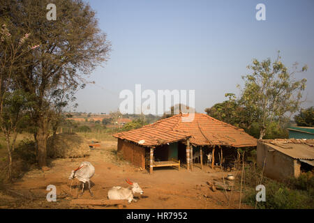 Ménage Indiennes pauvres (ferme). Chambre et de vaches dans la cour. L'Andhra Pradesh, Anantapur Banque D'Images