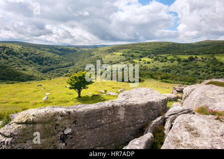 La vue depuis le banc à Tor vallée boisée de la rivière Dart Dartmoor National Park Devon Uk Banque D'Images