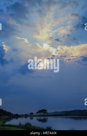 Les nuages de tempête d'été avec une lumière sur une Live Oak arbre près d'un étang à Kiawah Island, Caroline du Sud. Banque D'Images