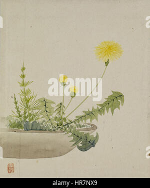 Setsuan Yoshizawa - Feuilles de l'album représentant des oiseaux, Fleurs, paysages, et pots de fleurs - Walters 351744B Banque D'Images