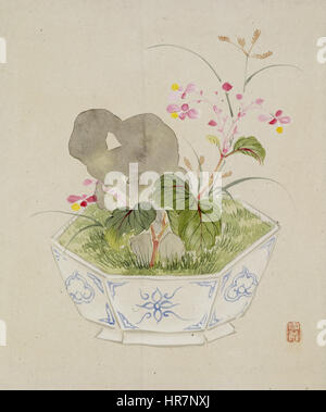 Setsuan Yoshizawa - Feuilles de l'album représentant des oiseaux, Fleurs, paysages, et pots de fleurs - Walters 3517413B Banque D'Images