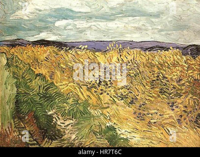 Vincent van Gogh - Champ de blé avec barbeaux Banque D'Images