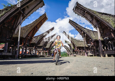 Garçon à vélo dans un village typique de Tana Toraja. Banque D'Images