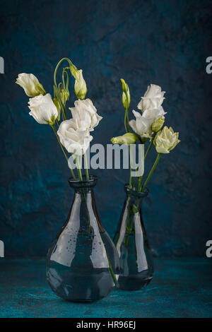 Bouquet de fleurs blanches eustoma en vases de verre sur fond bleu foncé Banque D'Images