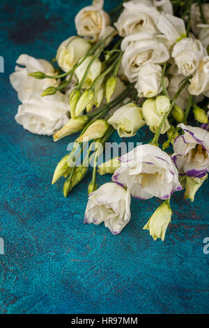 Bouquet de fleurs blanches eustoma sur fond bleu foncé Banque D'Images