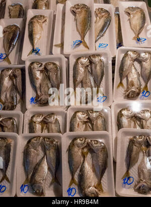 Le poisson pour la vente au marché Warorot (alias Kad Luang), à Chiang Mai, Thaïlande. Banque D'Images